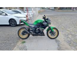 KAWASAKI - Z300 - 2017/2018 - Verde - R$ 21.900,00
